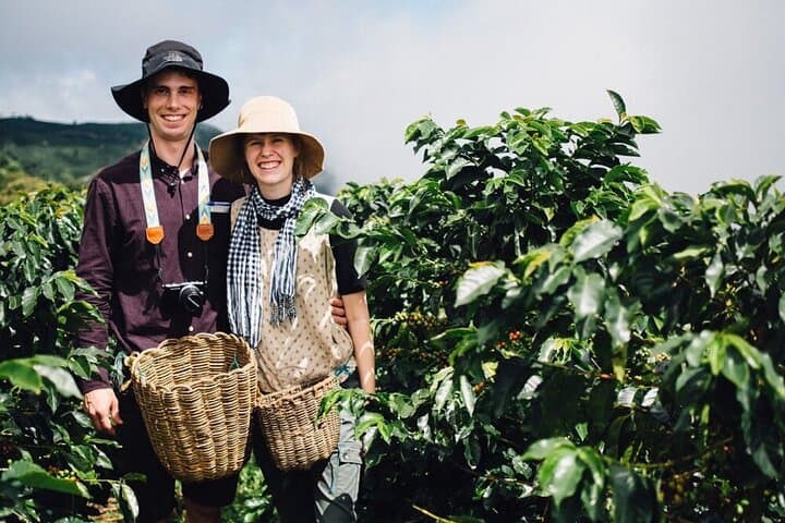 Private Tour to Karunguru Coffee Farm