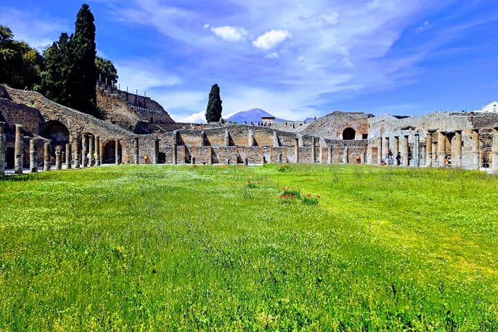 Pompeii private tour from Naples. The best choice for cruisers