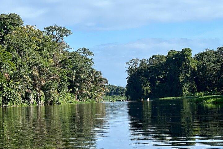 Small Group Tortuguero National Park Canoe Tour