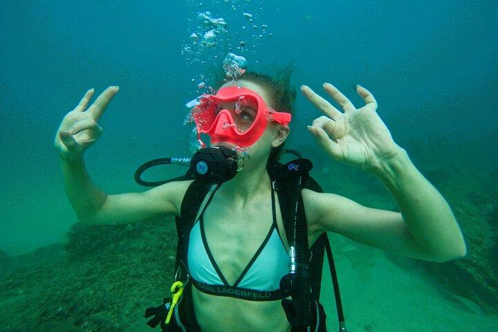 Try Scuba Diving & snorkeling in Fujairah with Transfer