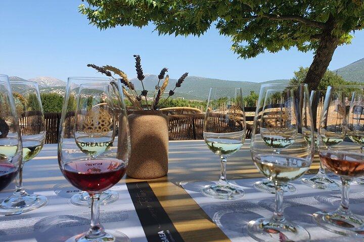Kefalonia Weinabenteuer mit 18 Weinproben in 3 Weingütern