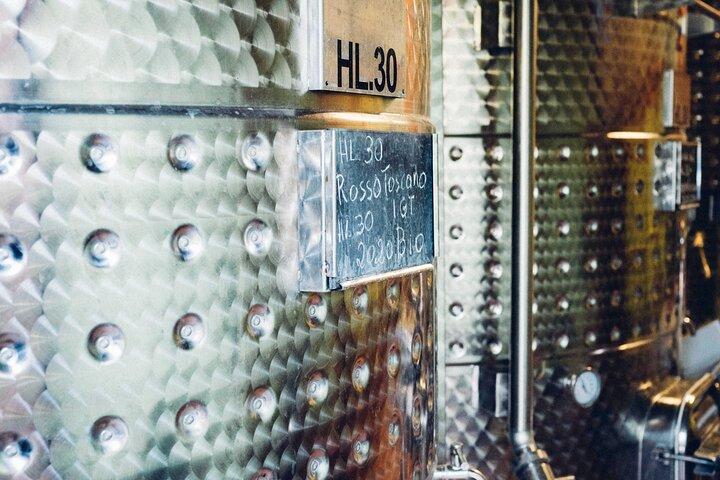 Visite des vins biologiques de Toscane dans une cave familiale