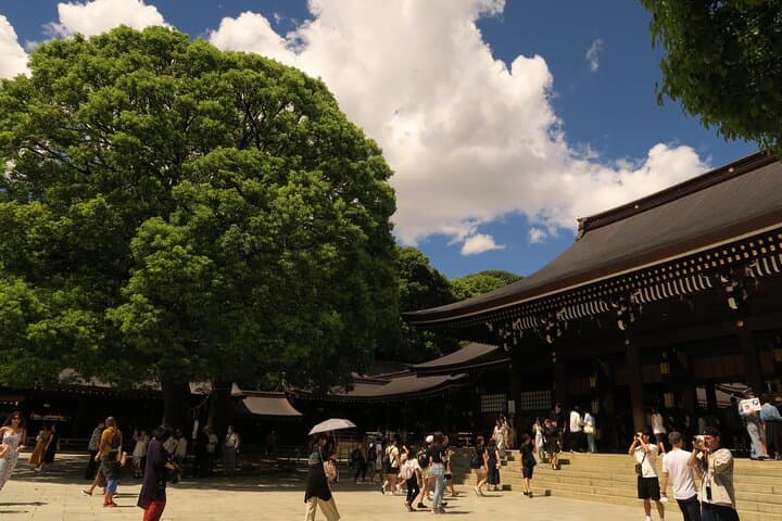 Tokyo in 6 Hours: Private Subway Tour with Licensed English Guide