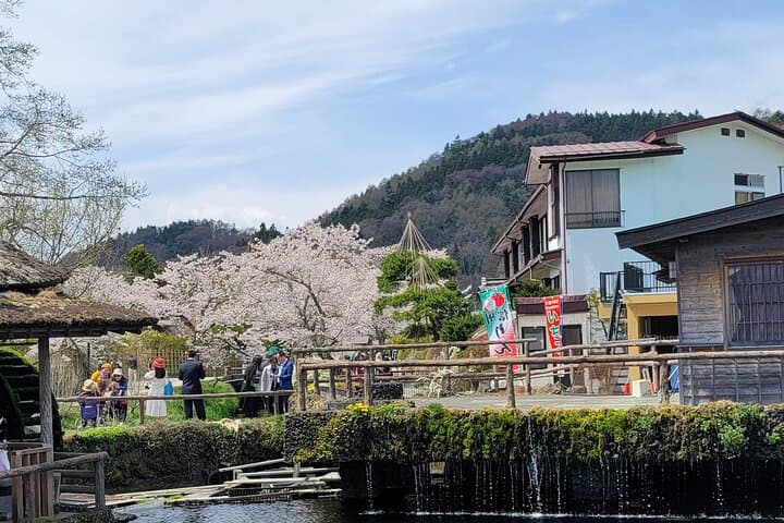 Mt Fuji Day Tour by Car With English Speaking Chauffeurs