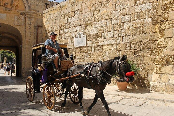 Halvdagstur på Malta