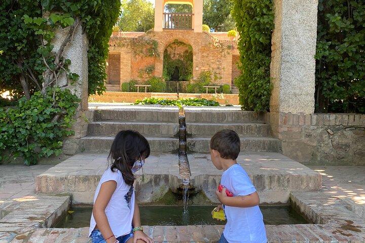 Visita à Alhambra com guia oficial privado em Granada