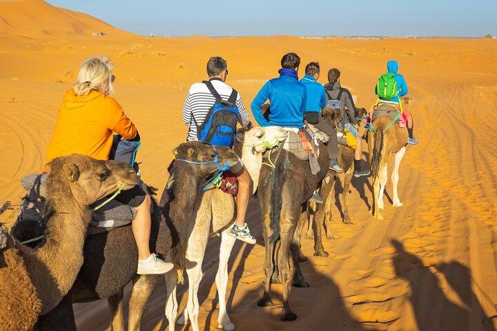 Desert adventure from Marrakech to erg chebe overnight in camp