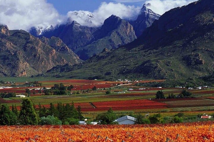 Big Five Safari and Breede River Valley Guided Day Trip
