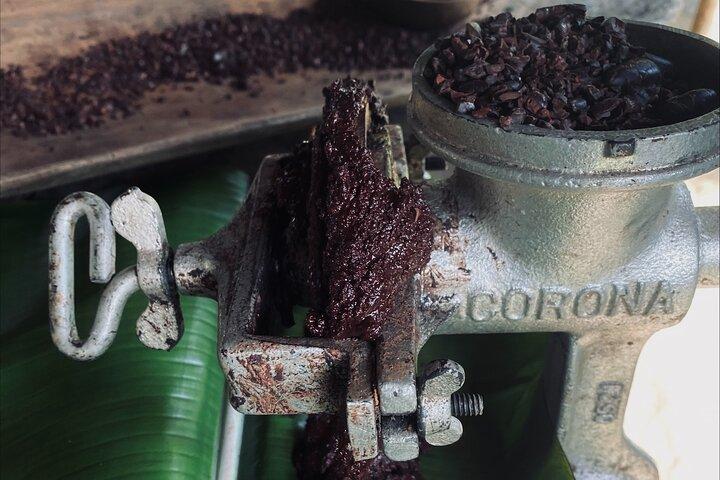 7 heures de fabrication de chocolat à Bribri Talamanca avec natation