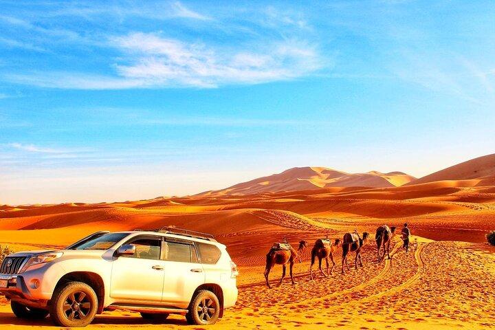 Tour culturale privato di 6 giorni in Marocco da Casablanca a Marrakech