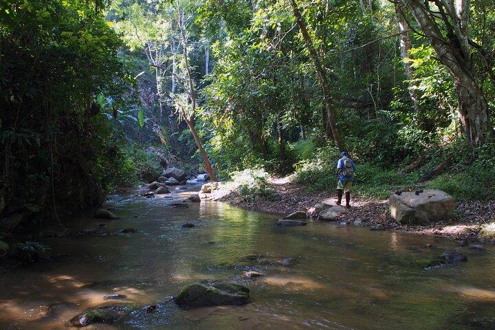 1 journée de détente et de trekking à Chiang Dao en privé avec sources chaudes