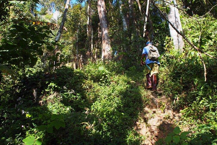 1 journée de détente et de trekking à Chiang Dao en privé avec sources chaudes