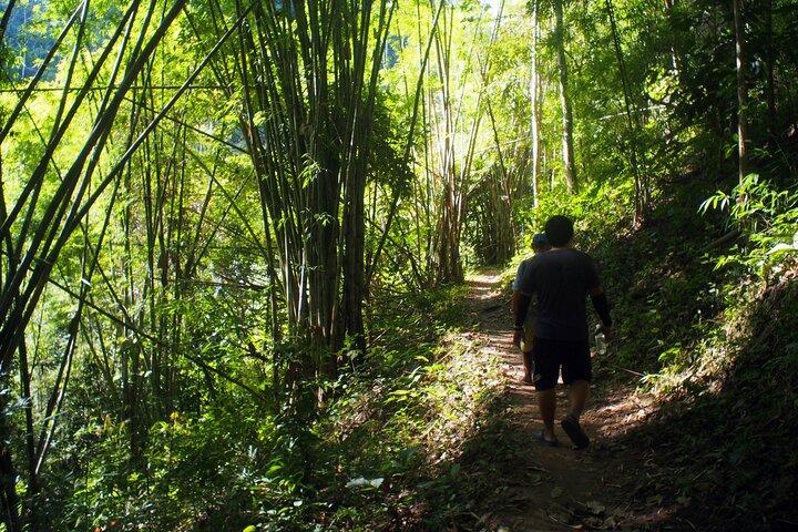 1 journée de détente et de trekking à Chiang Dao en privé avec sources chaudes