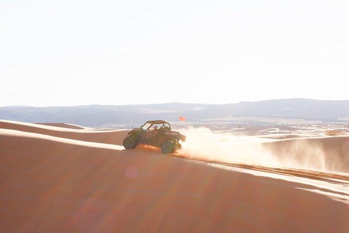 コーラルピンク砂丘でのUTV砂丘クルーズとサーフィン