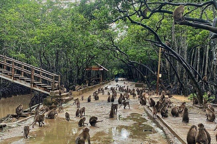 Private Tour zur Mangrovenwaldinsel Can Gio ab Ho-Chi-Minh-Stadt