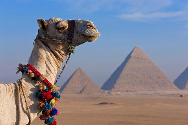 Private Cairo Tour: Pyramids, Sphinx, Museum & Bazaar