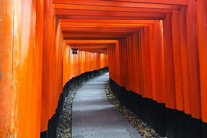 Private eBike Tour Exploring Fushimi with Torii Red Gate Ride