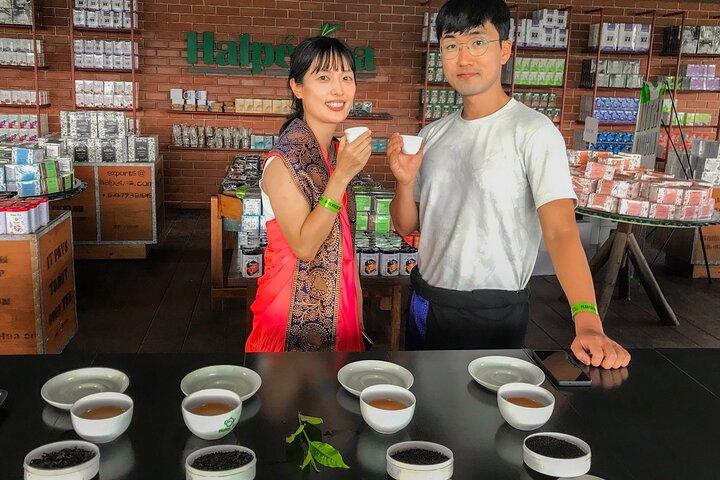 エラ・スリランカのハルペワット紅茶工場見学