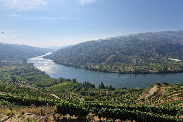 Douro Valley Tour: Wine Tasting River Cruise and Lunch from Porto