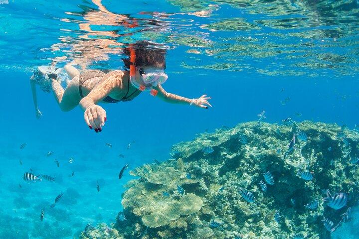 Ras Mohamed & Isola Bianca Immersioni e snorkeling – Sharm El Sheikh