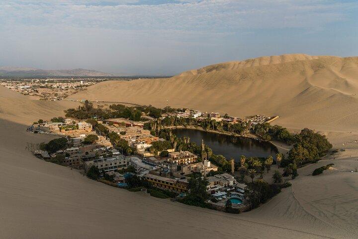 Dagstur til Paracas, Ica og Huacachina fra Lima | Mini-Galapagos