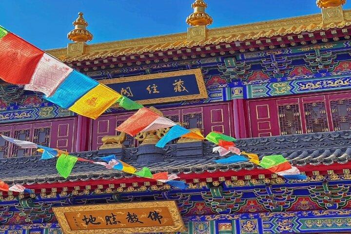 Excursion d'une journée privée: Xi'an Panda (QI ZAI) et les points forts de la ville
