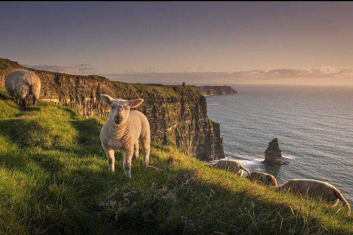Dublin a Cliffs of Moher, Ennis e Historic Limerick Day Tour