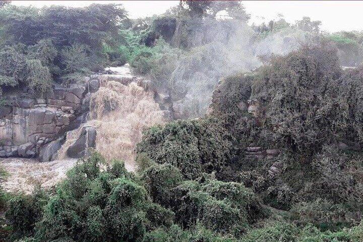 2 Tage Awash-Nationalpark