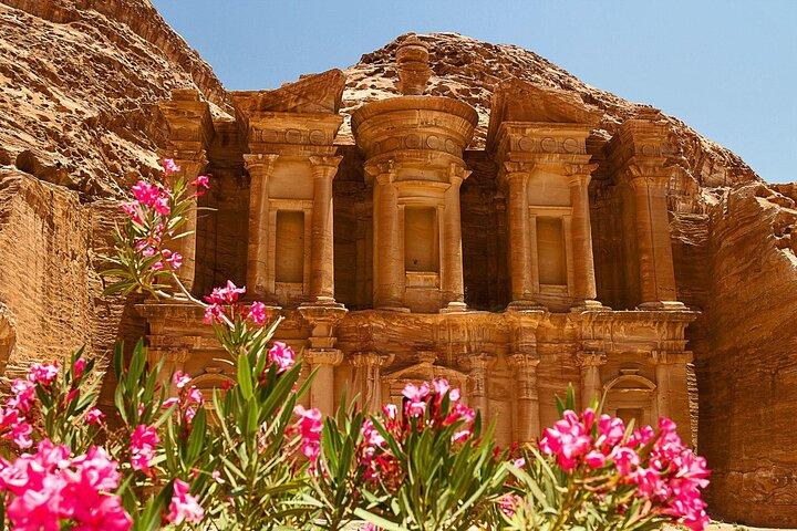 Privat heldagstur till Petra och Wadi Rum