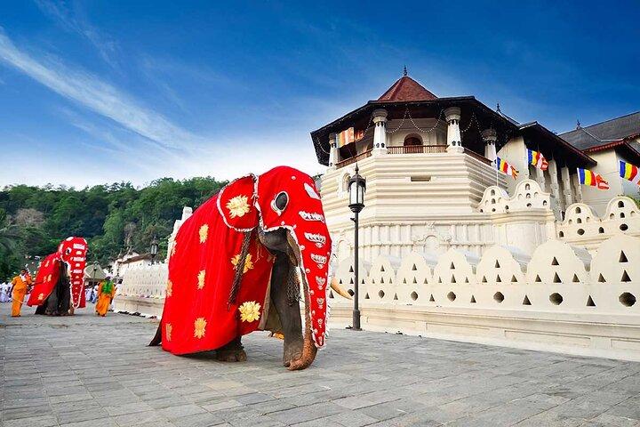 Stadstour door Kandy