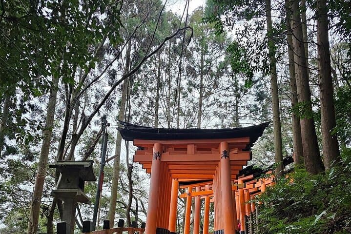 Mt. Fuji Day Trip from Tokyo with English Speaking Driver Guide
