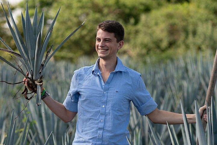 Visite privée de la distillerie El Tequileño et visite de la Tequila