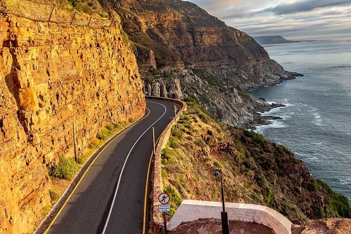 Penguins Cape of Good Hope, Cape Point Private Tour