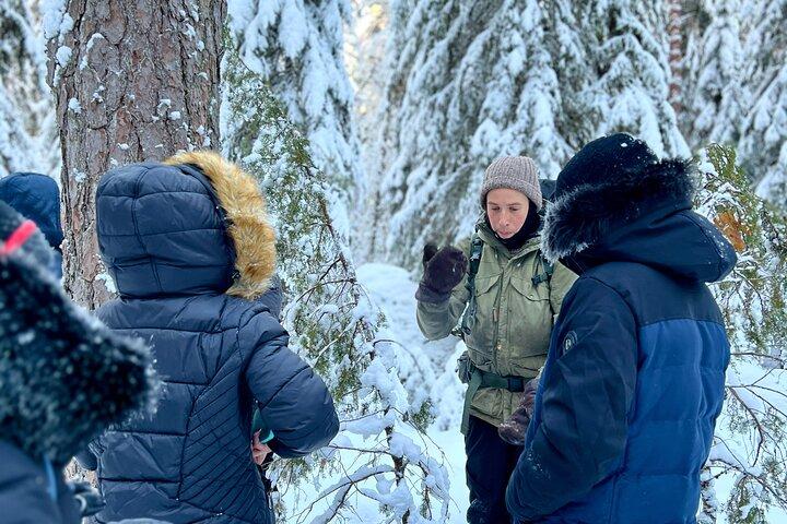 Winterwunderland-Wanderung in einem Nationalpark