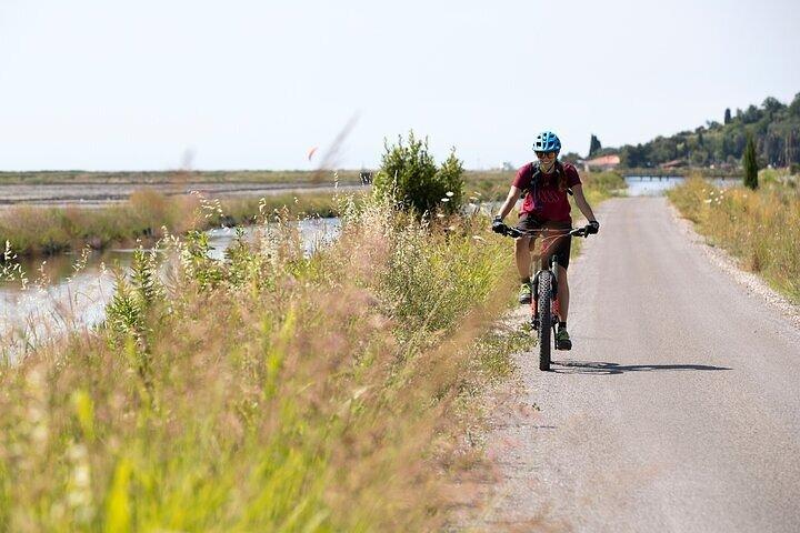 Excursão Boutique ao Piran Parks e vistas deslumbrantes