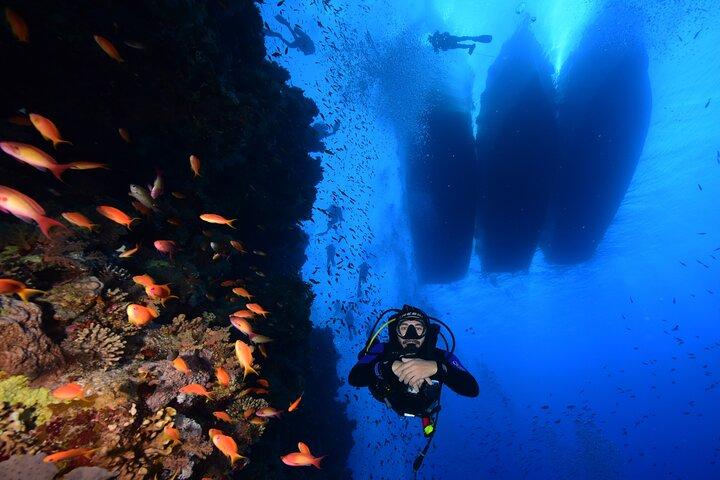 Full Day in Barca con 2 Immersioni nei Parchi Marini di Sharm
