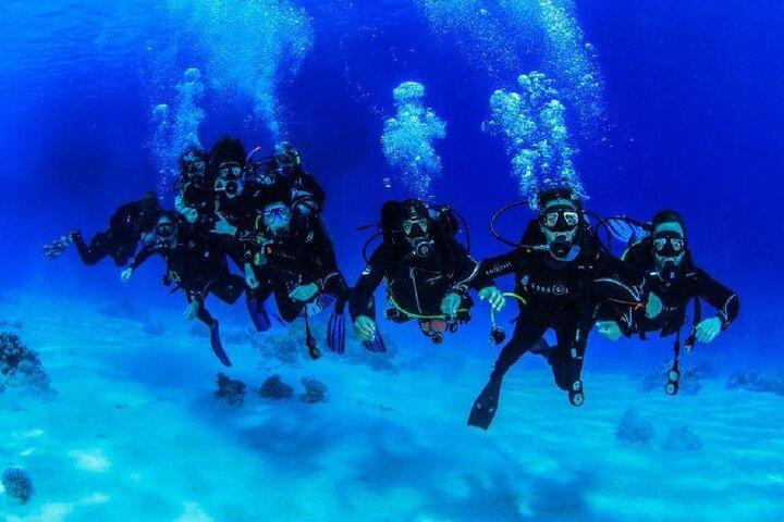 Full Day in Barca con 2 Immersioni nei Parchi Marini di Sharm