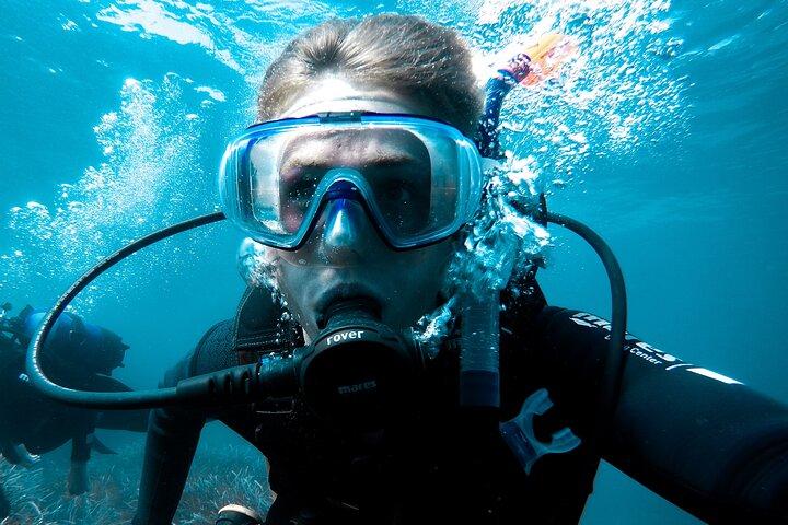 Whale and Dive Combo Tour i Los Cabos
