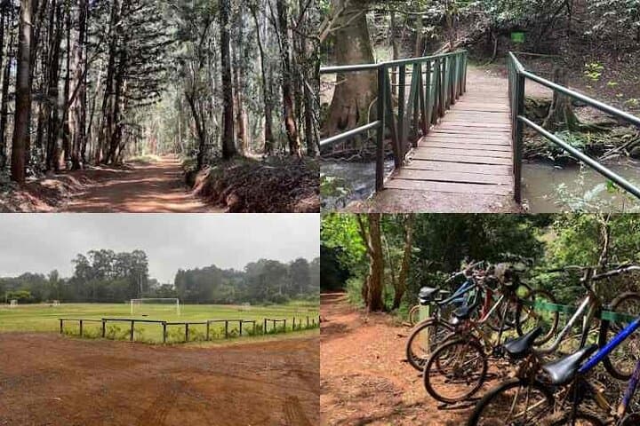 Day Tour to Karura Forest Nature Trail