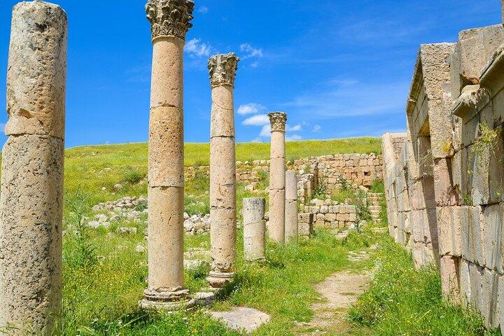 Histroy Tour em Jerash Ruínas e Castelo de Ajloun