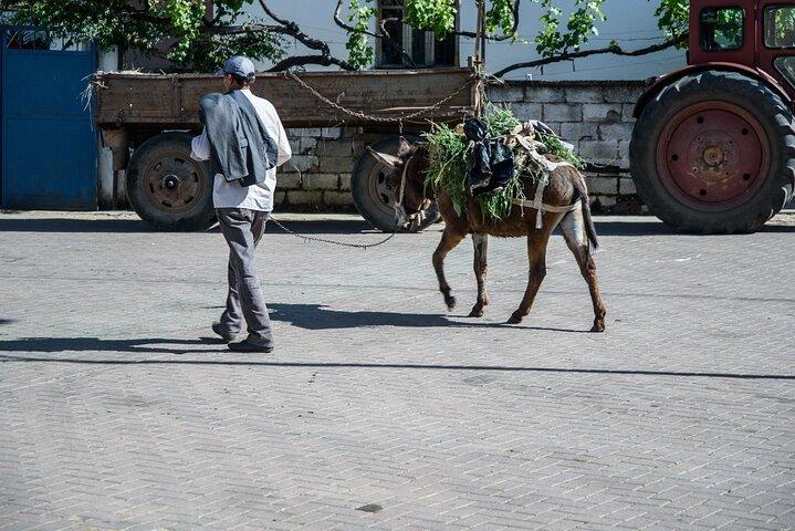 Tour Rund um den Albanischen See ab Ohrid