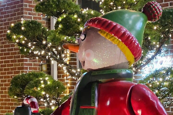 NYC Private Holiday Lights Tour