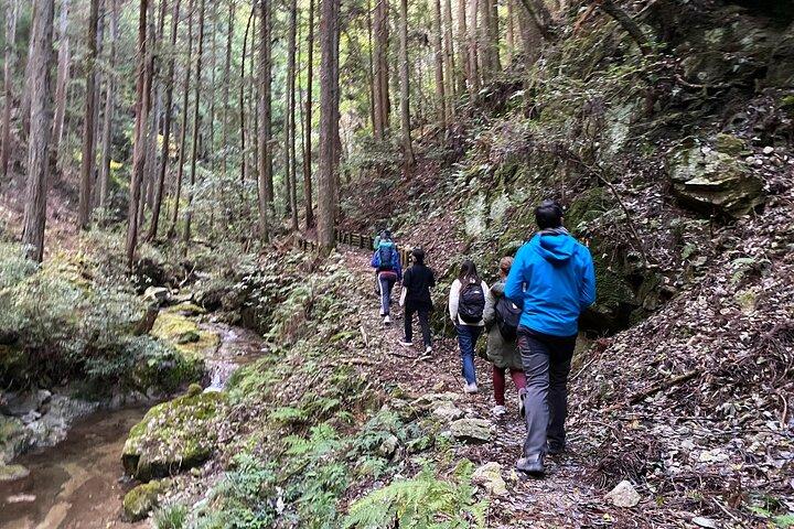 Yoshino Natura e-Bike Tour Cascate, Lago e Foresta