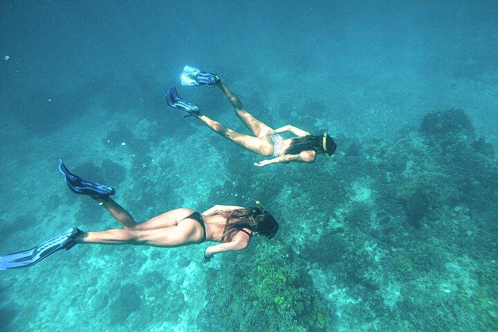 El Cielo Cozumel Snorkel Share Boat + Recifes + Comida e Bebidas + Praia