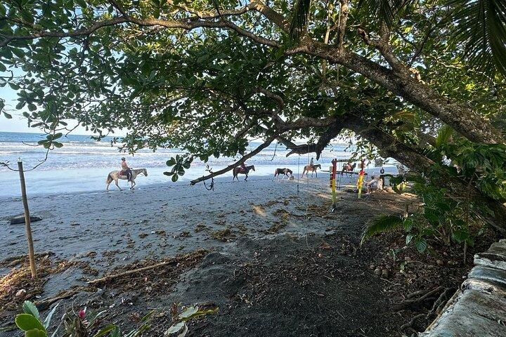 Cavalheira & Parque Nacional Cahuita – Excursão Privada