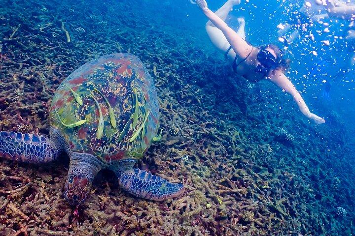 5 Islands Full-Day Tour Around Koh Tao and Koh Nangyuan