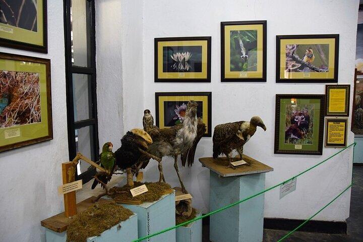 Heldags Arusha City privat tur på Cultural Heritage House