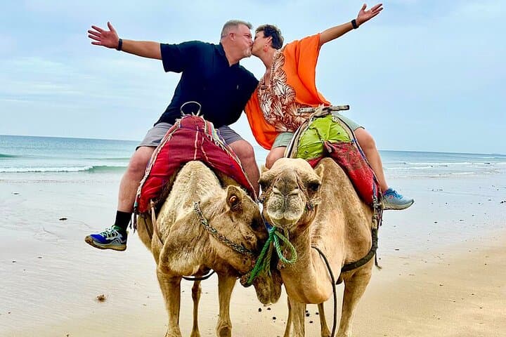 The Best of Tangier: Luxury 4-Hour Private Experience