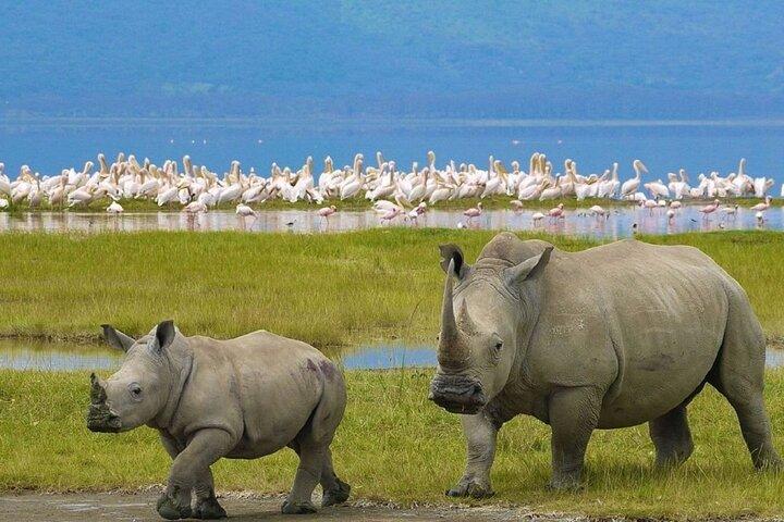 Nuit à Hell's Gate et au parc national du lac Nakuru depuis Nairobi