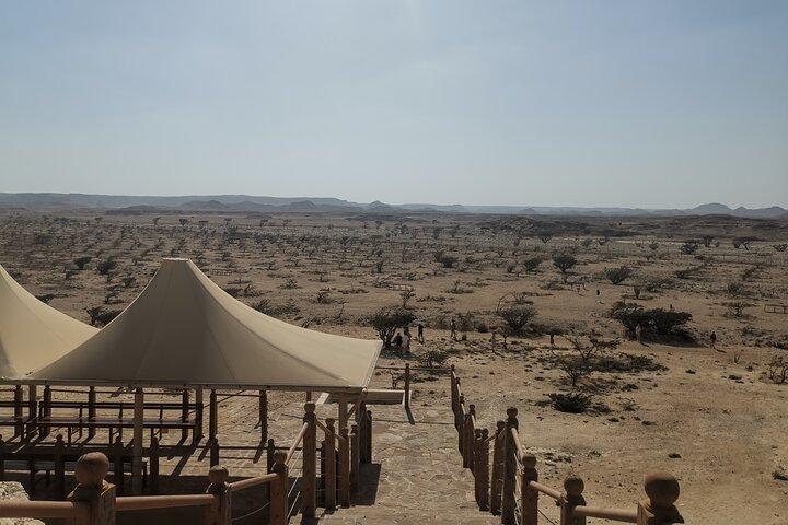 UNESCOs verdensarvssteder Frankincense Trail